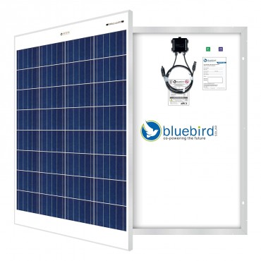 100 Watt 12 Volt Polycrystalline Solar Panels Bluebird