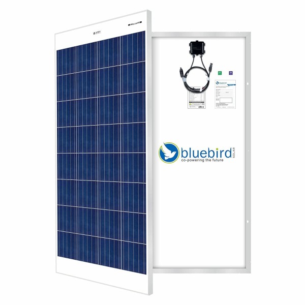 Bluebird 150 Watt 12 Volt Polycrystalline Solar Panels, BIS Certified 