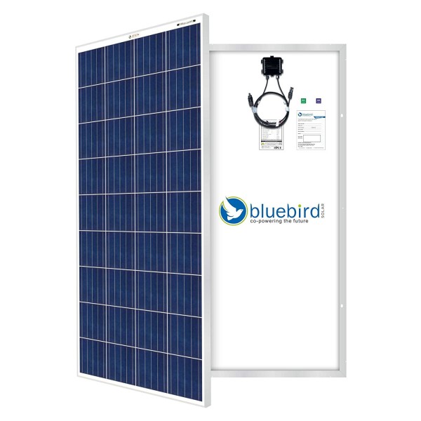 Bluebird 165 Watt 12 Volt Polycrystalline Solar Panels 