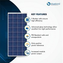 Bluebird 165 Watt 12 Volt Polycrystalline Solar Panels