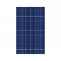 Bluebird 275 Watt 24 Volt Polycrystalline Solar Panels, BIS Certified