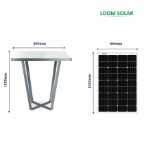 Loom Solar Panel 125 watt - 12 volt Mono Perc (Pack of 2)