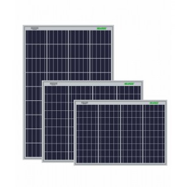 WAAREE 40 Watt Polycrystalline Solar Module